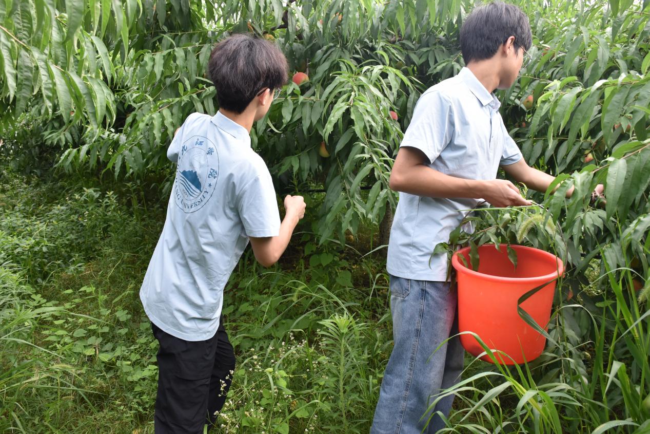 3f2b75e0e75901f154efe65e94ada438